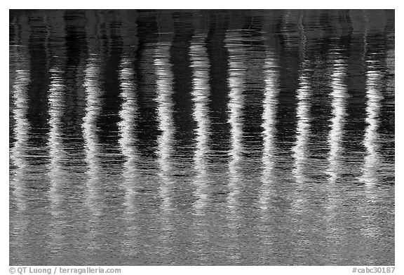 Column reflections. Victoria, British Columbia, Canada (black and white)