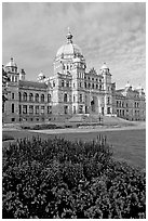 Parliament building, morning. Victoria, British Columbia, Canada ( black and white)