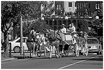 Horse carriagess on the street. Victoria, British Columbia, Canada ( black and white)