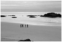 Long Beach. Pacific Rim National Park, Vancouver Island, British Columbia, Canada ( black and white)