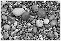 Pebbles, South Beach. Pacific Rim National Park, Vancouver Island, British Columbia, Canada (black and white)