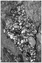 Pebbles and rock, South Beach. Pacific Rim National Park, Vancouver Island, British Columbia, Canada ( black and white)