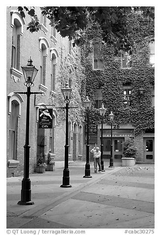 Alley with street lamps, Bastion Square. Victoria, British Columbia, Canada (black and white)