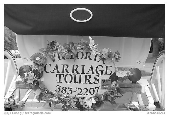 License plate of horse carriage car with flowers. Victoria, British Columbia, Canada (black and white)
