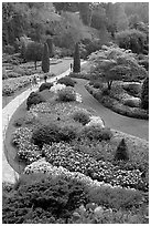Sunken Garden. Butchart Gardens, Victoria, British Columbia, Canada ( black and white)