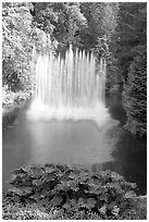 Ross Fountain. Butchart Gardens, Victoria, British Columbia, Canada ( black and white)