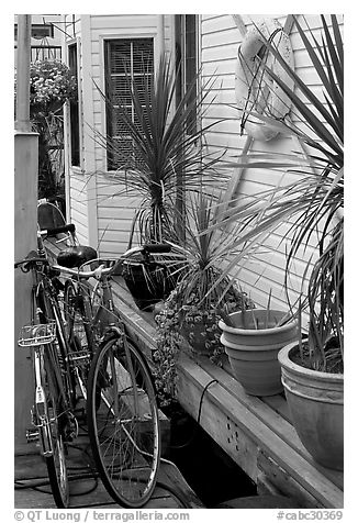 Bicycles, potted plants, and houseboat. Victoria, British Columbia, Canada (black and white)