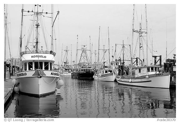 Commercial fishing boats, Upper Harbor. Victoria, British Columbia, Canada (black and white)