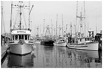 Commercial fishing boats, Upper Harbor. Victoria, British Columbia, Canada (black and white)