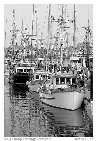 Commercial fishing fleet, Upper Harbour. Victoria, British Columbia, Canada (black and white)