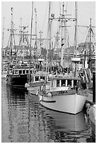 Commercial fishing fleet, Upper Harbour. Victoria, British Columbia, Canada ( black and white)