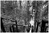 Kid on treetop trail. Vancouver, British Columbia, Canada ( black and white)