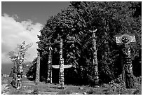 Totems, Stanley Park. Vancouver, British Columbia, Canada ( black and white)