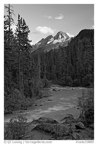 Yoho River, trees, and Cathedral Crags, late afternoon. Yoho National Park, Canadian Rockies, British Columbia, Canada