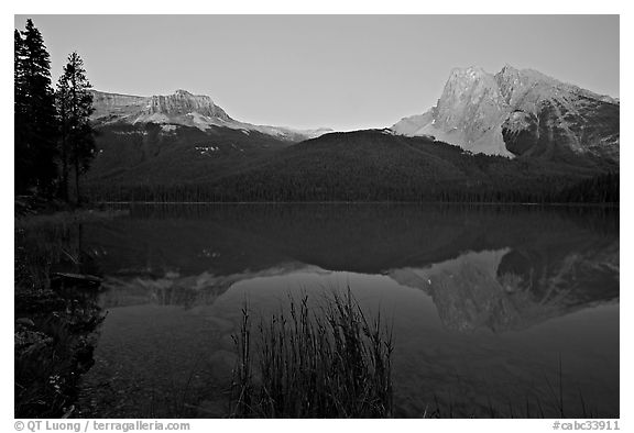 Mount Burgess and Wapta Mountain reflected in Emerald Lake, dusk. Yoho National Park, Canadian Rockies, British Columbia, Canada (black and white)