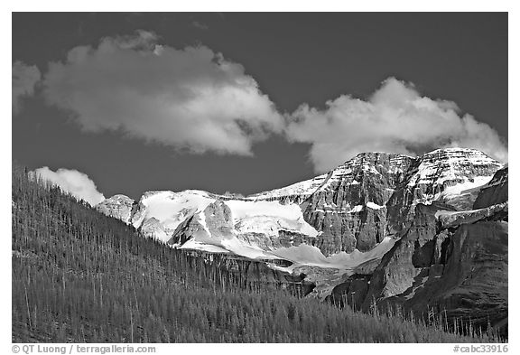 Stanley Glacier, afternoon. Kootenay National Park, Canadian Rockies, British Columbia, Canada