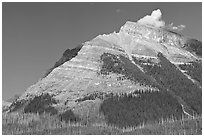 Peak near Vermillion Pass. Kootenay National Park, Canadian Rockies, British Columbia, Canada (black and white)