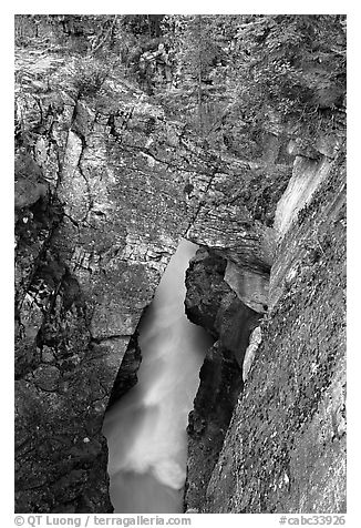 Natural bridge in Marble Canyon. Kootenay National Park, Canadian Rockies, British Columbia, Canada