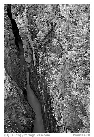 Marble Canyon 36 meter deep narrow gorge. Kootenay National Park, Canadian Rockies, British Columbia, Canada (black and white)