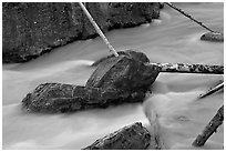 Boulders and fallen trees in silt-colored Tokkum Creek. Kootenay National Park, Canadian Rockies, British Columbia, Canada (black and white)