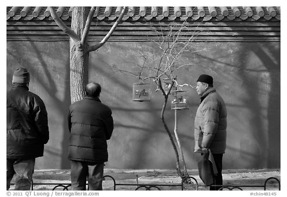 Bird market along red wall. Beijing, China