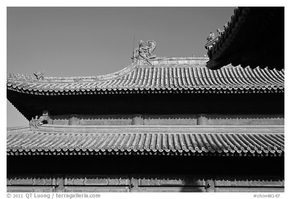 Roof detail, Forbidden City. Beijing, China