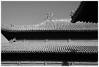 Roof detail, Forbidden City. Beijing, China ( black and white)