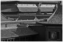 Rooftops details, Forbidden City. Beijing, China ( black and white)