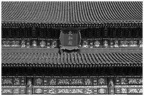 Roof detail and sign on Hall of Supreme Harmony, Forbidden City. Beijing, China ( black and white)
