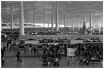 Some of the 300 check in counters, International Airport. Beijing, China ( black and white)
