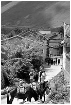 Village street leading to the market. Shaping, Yunnan, China ( black and white)