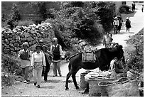 Village street leading to the market. Shaping, Yunnan, China ( black and white)