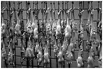 Roasted ducks for sale. Kunming, Yunnan, China (black and white)