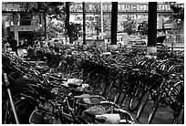 Bicycle parking lot. Kunming, Yunnan, China (black and white)