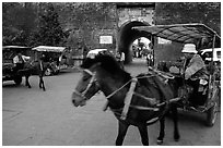 Horse carriage near the North Gate. Dali, Yunnan, China ( black and white)