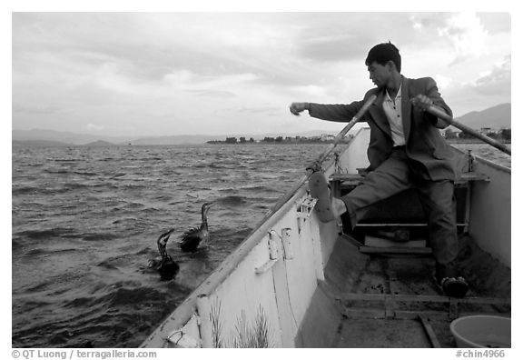 Cormorant fisherman sends out his birds. Dali, Yunnan, China