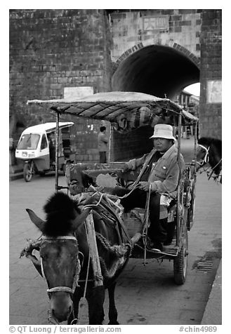 Horse carriage next to the North gate. Dali, Yunnan, China (black and white)