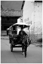 House carriage in a street. Dali, Yunnan, China ( black and white)