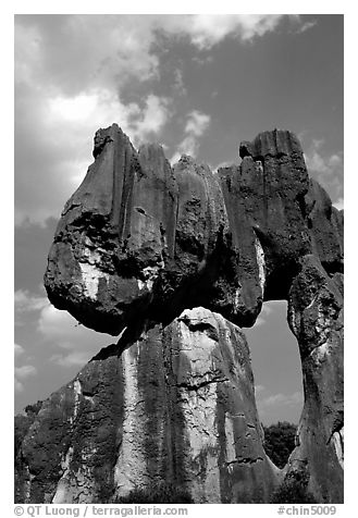 Opening in a limestone formation of the Stone Forest. Shilin, Yunnan, China (black and white)