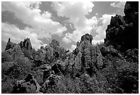 Among the limestone peaks of the Stone Forest. Shilin, Yunnan, China ( black and white)