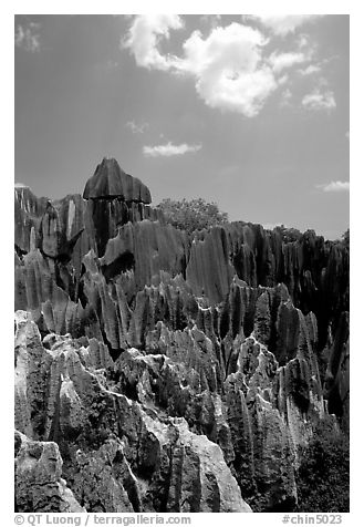 Maze of grey limestone pinnacles and peaks of the Stone Forst. Shilin, Yunnan, China (black and white)