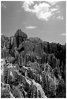 Maze of grey limestone pinnacles and peaks of the Stone Forst. Shilin, Yunnan, China ( black and white)