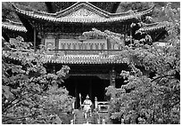 Ming dynasty Wufeng Lou (Five Phoenix Hall), a 20m high edifice dating from 1600. Lijiang, Yunnan, China ( black and white)