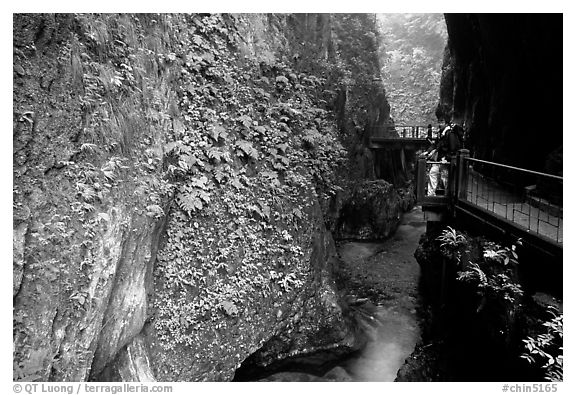 Narrow Gorge between Qingyin and Hongchunping. Emei Shan, Sichuan, China (black and white)