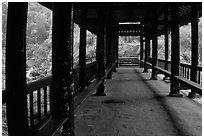 Covered bridge between Qingyin and Hongchunping. Emei Shan, Sichuan, China ( black and white)