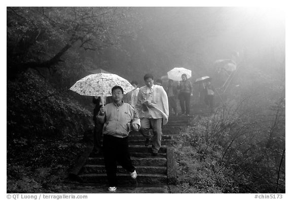 Pilgrims with umbrellas descend some of the tens of thousands of stairs. Emei Shan, Sichuan, China