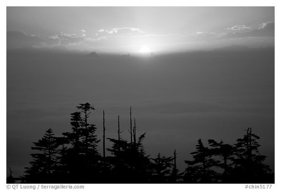Sunset over a sea of clouds. Emei Shan, Sichuan, China