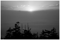 Sunset over a sea of clouds. Emei Shan, Sichuan, China ( black and white)
