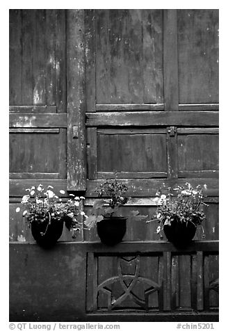 Potted flowers and wooden wall in Bailongdong temple. Emei Shan, Sichuan, China