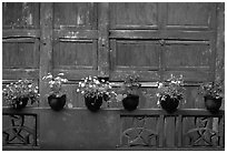 Potted flowers and wooden wall in Bailongdong temple. Emei Shan, Sichuan, China ( black and white)